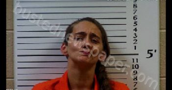 WALDROUP, PATRICA ANN | 2019-09-10 20:40:00 Cherokee County, North Carolina Booking