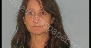 HARVEY, CANDY LYNN | 2019-09-11 Andrews County, Texas Booking