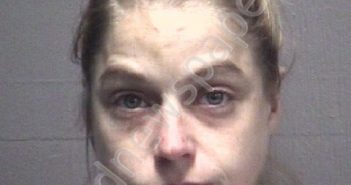 CHESHIRE, STEPHANIE PAIGE | 2019-09-11 New Hanover County, North Carolina Booking