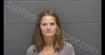 STEPHANIE ROSE ELKINS | 2019-09-11 18:13:00 Montgomery County, Indiana Booking