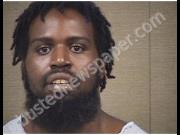 PROVOID, TRACY | 2019-09-11 Harnett County, North Carolina Booking
