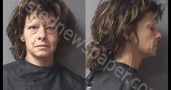 <B>DUGGER</B>, <B>BRITTNEY</B> <B>MARIE</B> #, Madison County, Indiana - 2019-09-11 01:14:00