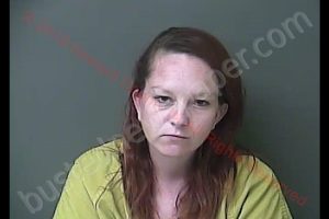 ASHLEY DAWN ARCHER | 2019-09-12 15:54:00 Howard County, Indiana Booking