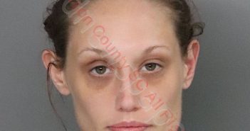ROBIN NICOLE SAXON | 2019-09-13 23:32:00 Anderson County, South Carolina Booking
