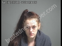 BOONIE BRIANNA M | 2019-09-13 Sandusky County, Ohio Booking