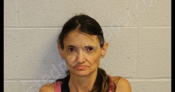 BAILEY, EVELYN STEWART | 2019-09-13 15:56:00 Jackson County, North Carolina Booking