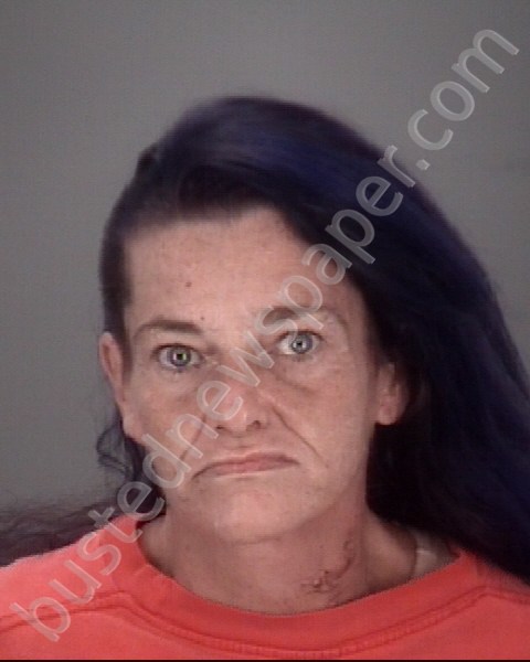 BARRS, SUSAN MICHELLE #, Pasco County, Florida - 2019-09-13 23:16:00