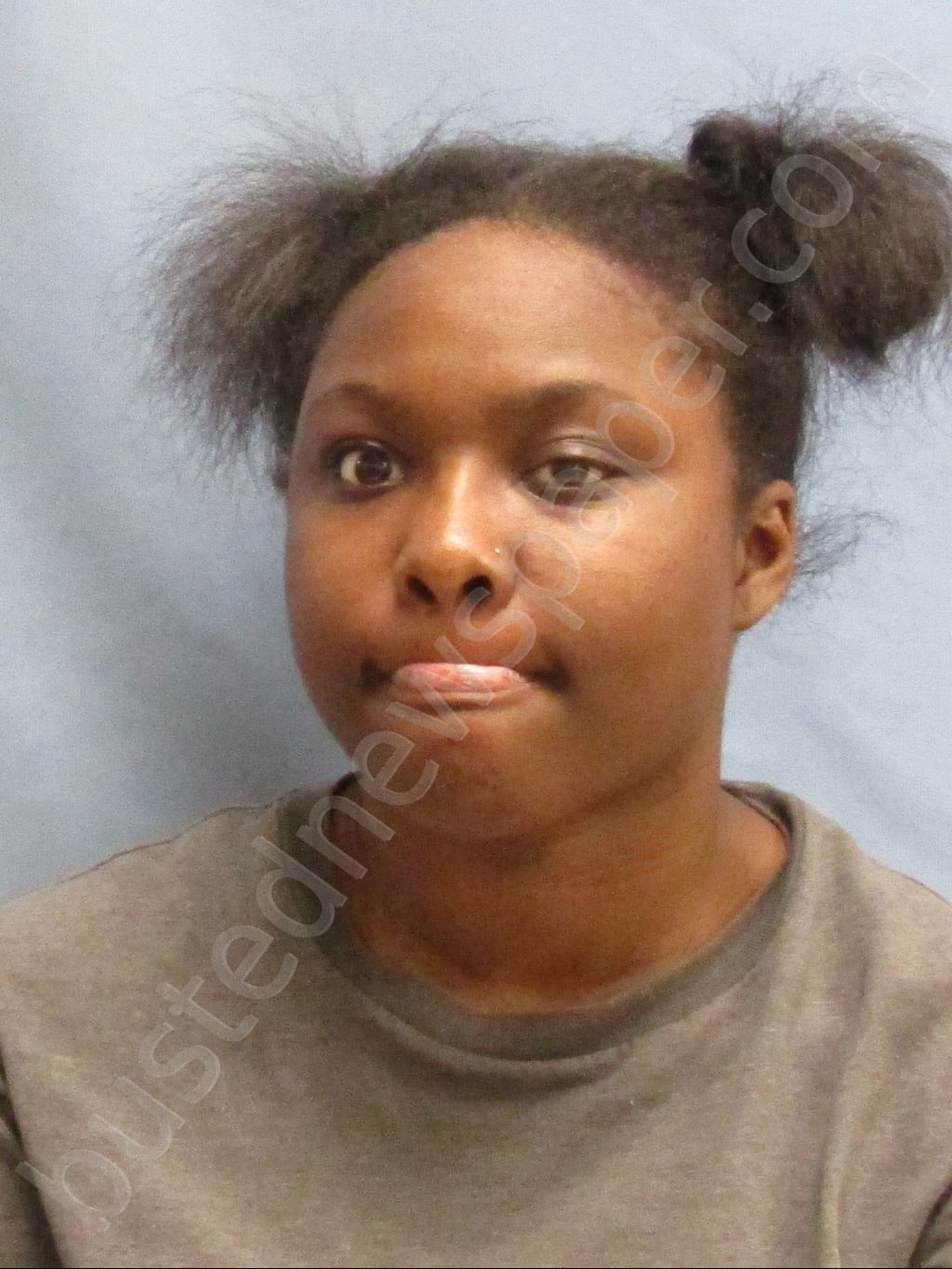 SMITH,WHITNEY SHARELLE #, Pulaski County, Arkansas - 2019-09-13 12:56:00