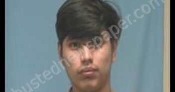 ANGEL RAMOS | 2019-09-16 10:22:00 Saline County, Arkansas Booking