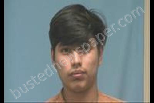 ANGEL RAMOS #, Saline County, Arkansas - 2019-09-16 10:22:00