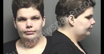 ARDIS,BRITTANY NICOLE | 2019-09-16 15:05:00 Saline County, Kansas Booking