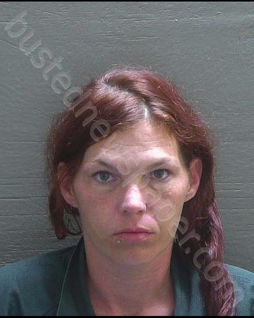 MORGAN, BRANDI JO #, Escambia County, Florida - 2019-09-16 03:59:00