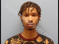 HOPKINS JERMAINE M | 2019-09-18 Erie County, Ohio Booking