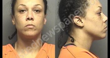 YOUNG,KRISTA DIANE | 2019-09-18 14:57:00 Saline County, Kansas Booking