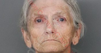 POLLY ANN PERRY | 2019-09-18 16:22:00 Anderson County, South Carolina Booking