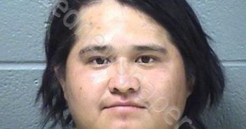 MIJANGOS, LUCAS | 2019-09-18 22:24:00 Will County, Illinois Booking