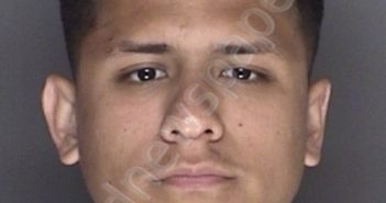 SARMIENTO, DYLAN BRANDON | 2019-09-19 15:04:00 Ellis County, Texas Booking