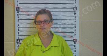 MELISSA ANN EICHELBERGER | 2019-09-20 03:36:00 Taylor County, Kentucky Booking