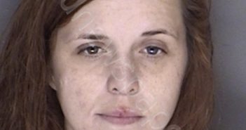 WASKOM, APRIL RENEE COOK | 2019-09-20 01:28:00 Ellis County, Texas Booking