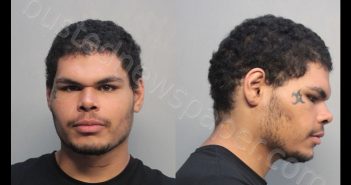 <B>RICARDO</B>, <B>STEPHEN</B> #, Miami-Dade County, Florida - 2019-09-23 12:44:00