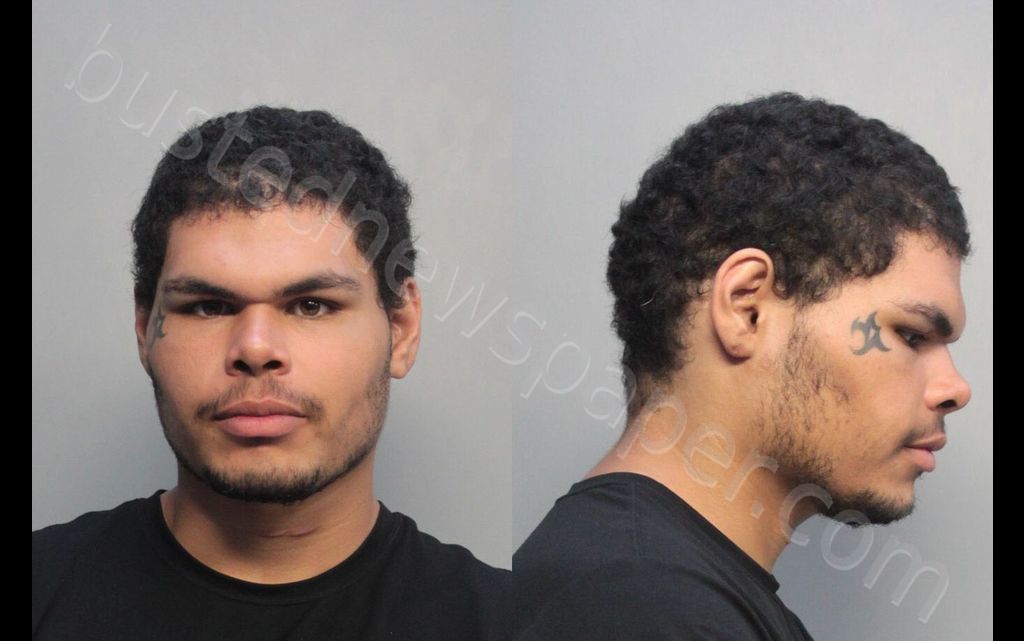 RICARDO, STEPHEN #, Miami-Dade County, Florida - 2019-09-23 12:44:00