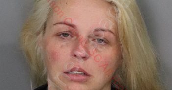 TIFFANY RACHEL ARMSTRONG | 2019-09-24 01:01:00 Anderson County, South Carolina Booking