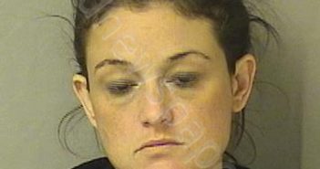 STAUFFER, CATHERINE PAIGE | 2019-09-27 00:50:00 Wood County, West Virginia Booking