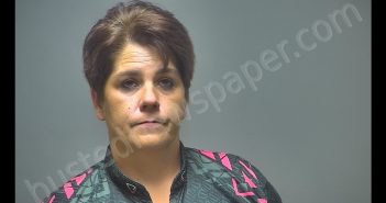MICHELL M SCHOEN-GALE | 2019-09-27 23:07:00 Isabella County, Michigan Booking