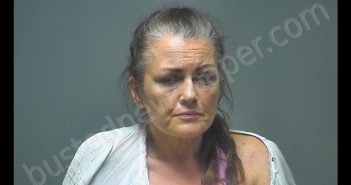 KELLY ANN FITZGERALD | 2019-09-28 13:48:00 Isabella County, Michigan Booking