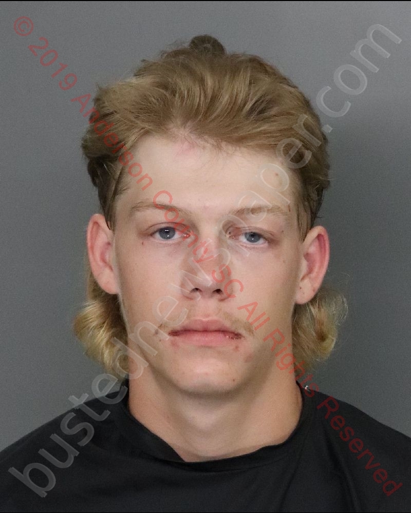 REILLY BANE NEILL #, Anderson County, South Carolina - 2019-09-28 01:39:00