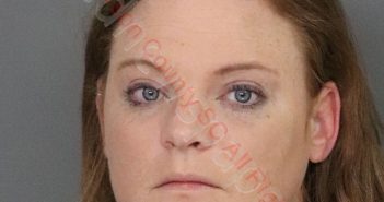 ROBYN WILSON SMITH | 2019-09-30 19:43:00 Anderson County, South Carolina Booking