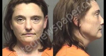 ANDERSON,SHANNON NICOLE | 2019-10-01 13:50:00 Saline County, Kansas Booking