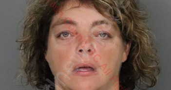 CRYSTAL GAIL VERMILLION | 2019-10-03 02:35:00 Anderson County, South Carolina Booking