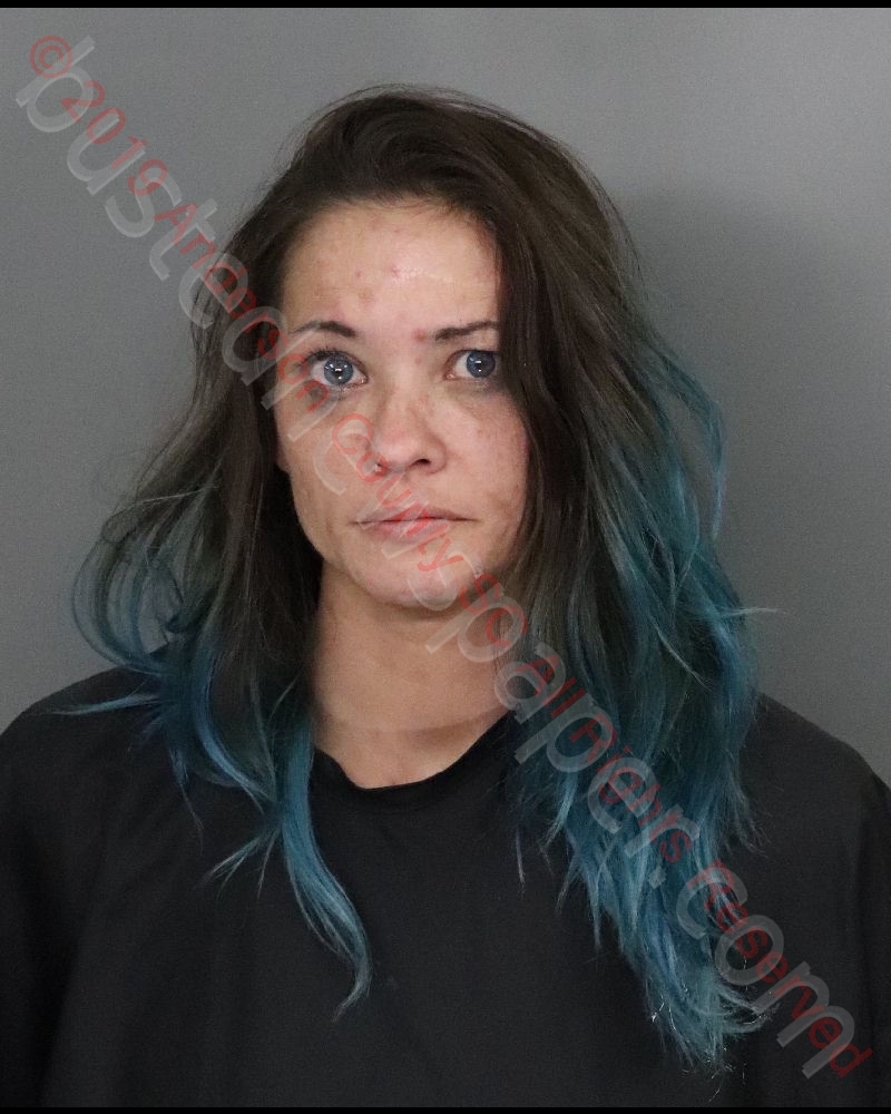 MEGAN RITSCH BARNETT #, Anderson County, South Carolina - 2019-10-03 01:49:00