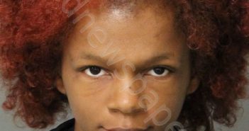 BOONE,NAOMI NICKY | 2019-10-04 08:05:00 Wake County, North Carolina Booking