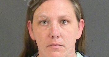 TYSON, BRITTANY ANN | 2019-10-06 02:20:00 Charleston County, South Carolina Booking