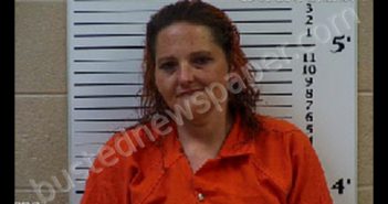 MICKENS, REBECCA DIANNE | 2019-10-07 16:42:00 Cherokee County, North Carolina Booking