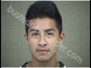TOLENTINO, ALEXIS | 2019-10-08 Harnett County, North Carolina Booking