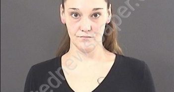 LONG, KELLY RAE | 2019-10-08 12:03:00 Roanoke County, Virginia Booking