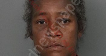 SHERRY TAMEEKA WILLIAMS | 2019-10-08 14:39:00 Anderson County, South Carolina Booking