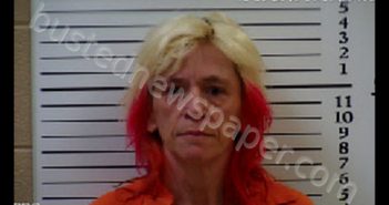 DAVIS, TERESA ANN | 2019-10-08 15:17:00 Cherokee County, North Carolina Booking