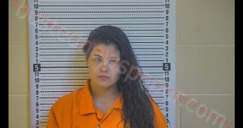 DANA M MANN | 2019-10-09 03:08:00 Taylor County, Kentucky Booking