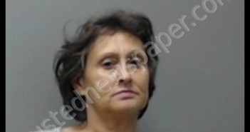 VICKIE KAY BIVINS | 2019-10-09 20:49:00 Baxter County, Arkansas Booking