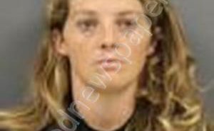 <B>HICE</B>, <B>AMANDA</B> <B>RAY</B> #, Cherokee County, South Carolina - 2019-10-10