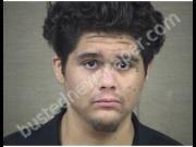 JAIMES, ANTONIO | 2019-10-11 Harnett County, North Carolina Booking