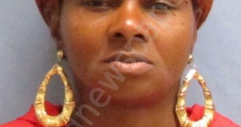 WILLIAMS,SHENAIL DENISE | 2019-10-12 07:25:00 Pulaski County, Arkansas Booking