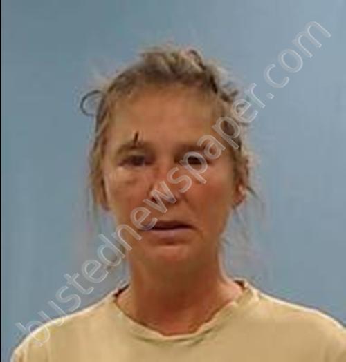 CORRENE M PROCTOR #, Boone County, Arkansas - 2019-10-14 04:01:00