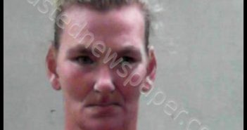 WEBER, TAMARA LYNN | 2019-10-15 12:15:00 Ohio County, West Virginia Booking