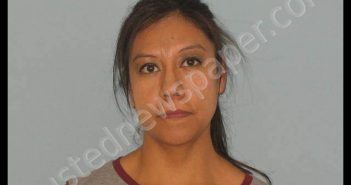 PERALTA, STEPHANIE ANN | 2019-10-15 Andrews County, Texas Booking