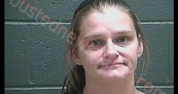 MISTY LYNN VOYLES | 2019-10-17 09:26:00 Perry County, Indiana Booking